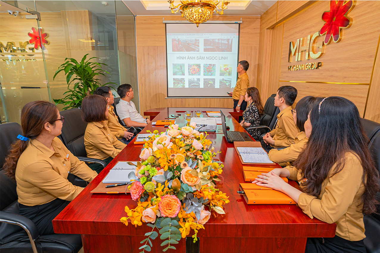 lĩnh vực hoạt động